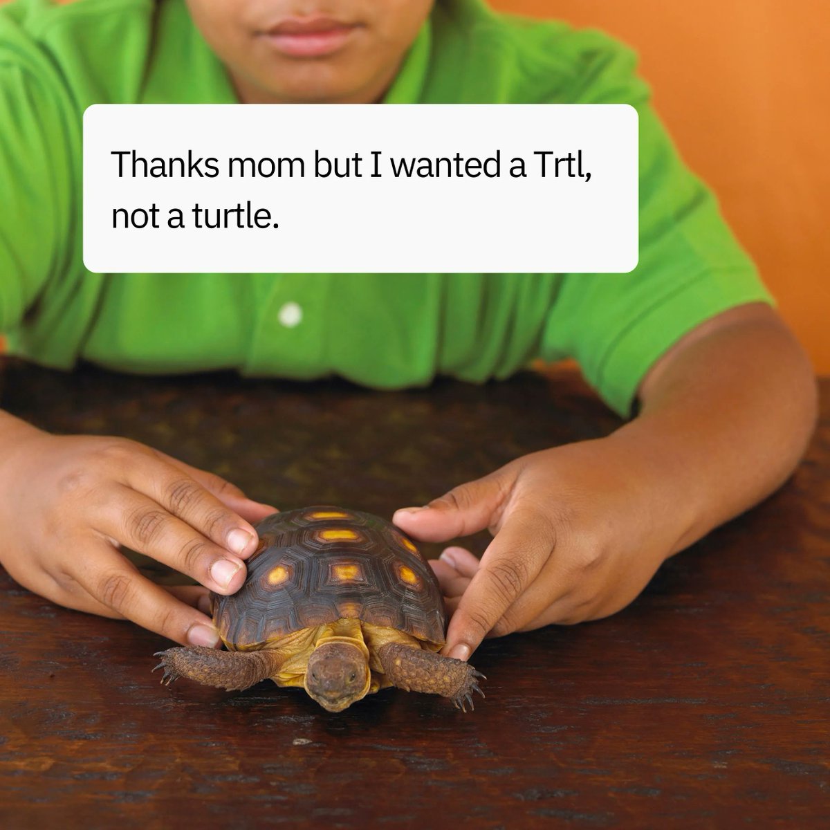 Anybody have any feeding/general care tips? 🤨