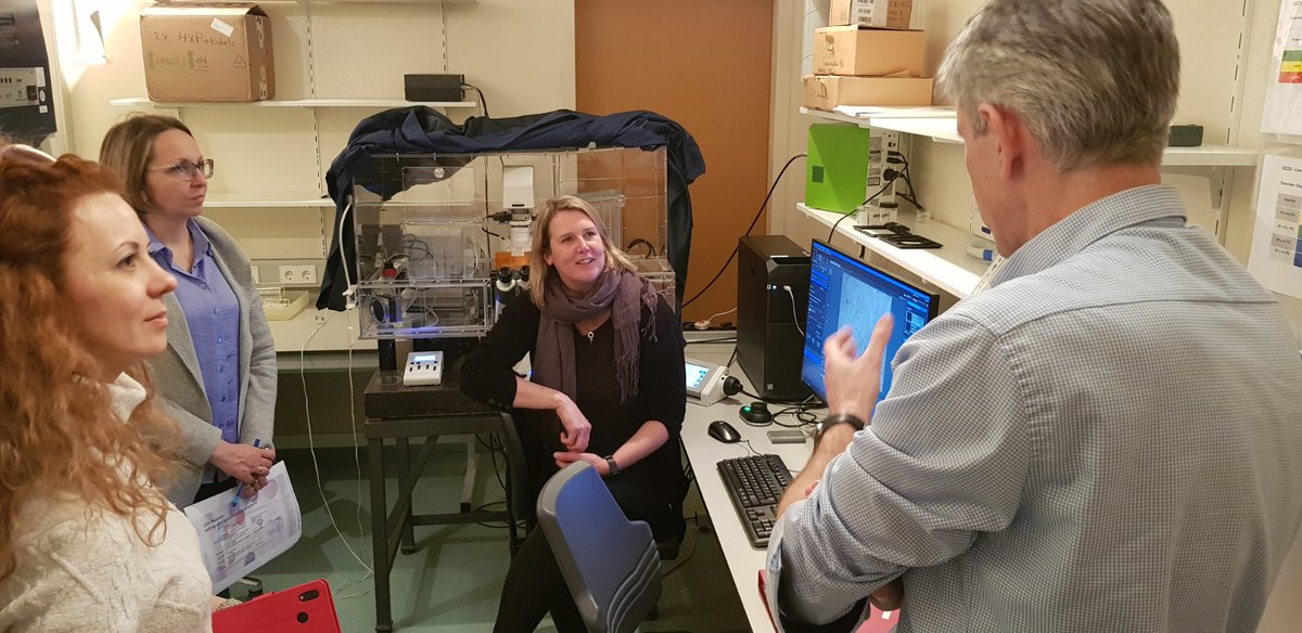 STEPUPIORS tweet media