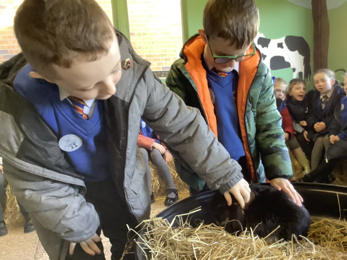 year1_STOL's tweet photo. @year2_STOL @teresaoflisieux 
Cedar had a great time on their science field trip to Acorn Farm https://t.co/CeeZ53PIjz