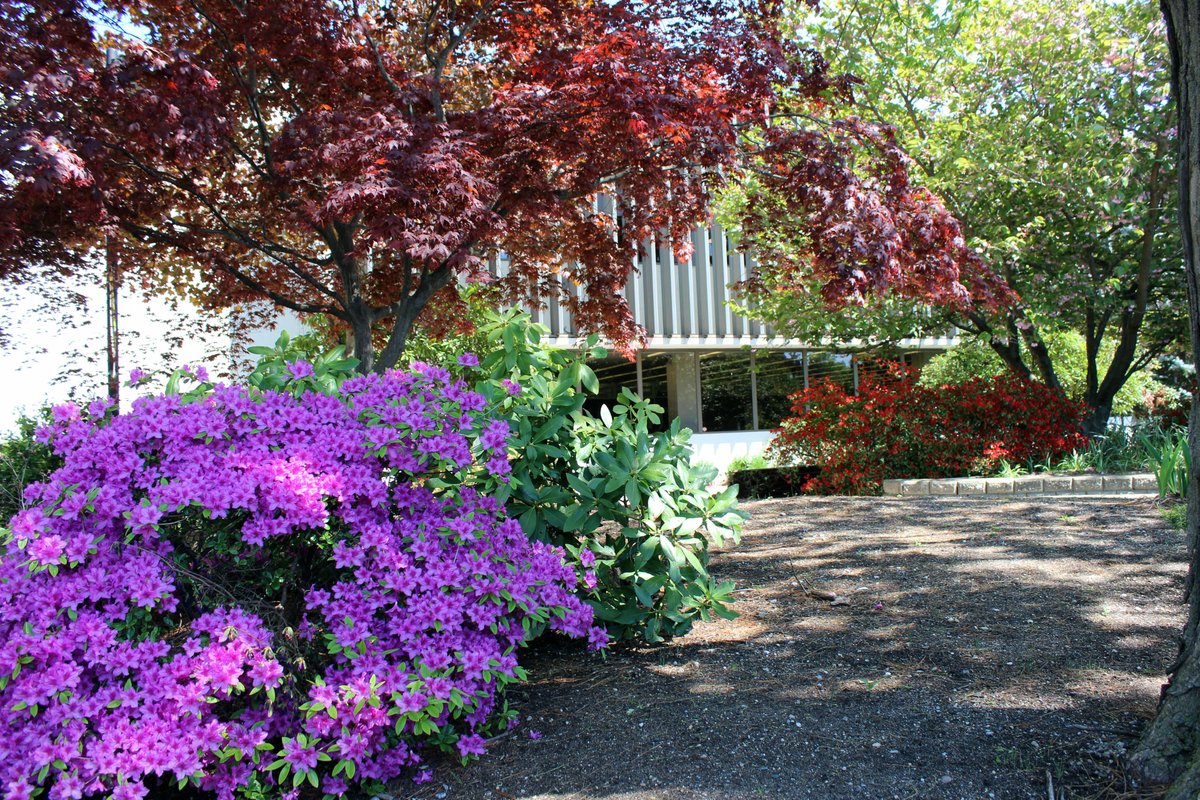 AdelphiU's tweet image. Who is excited for #SpringAtAdelphi ? 🌸💐