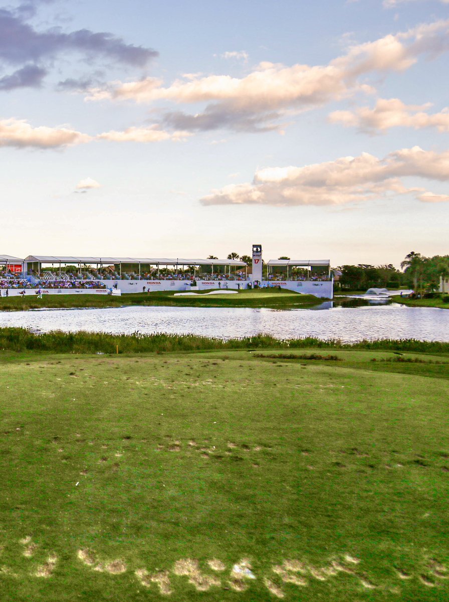 Caddie Network tweet media