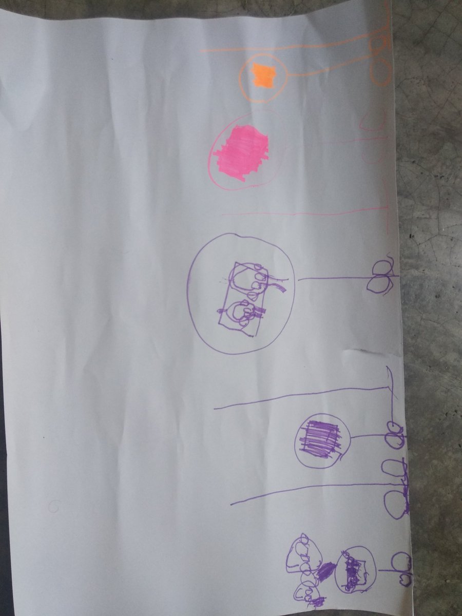 mapachux's tweet photo. @Mexicablemx el fan número uno de ustedes y que ya está listo para subirse a la otra línea casi diario hace el recorrido entero porque le facina el teléferico https://t.co/33JNIEsVUx