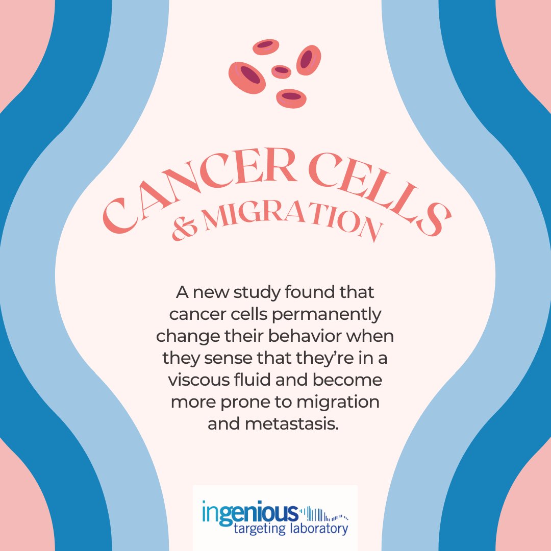 GeneTargeting's tweet photo. Cells sense a wide variety of features about their surroundings and integrate this information to respond appropriately
Extracellular fluid viscosity enhances cell migration and cancer dissemination
Bera, et al. Nature
#cancercells #cancerresearch #cellmetastasis #cellbehavior https://t.co/2AMh7IrKBS