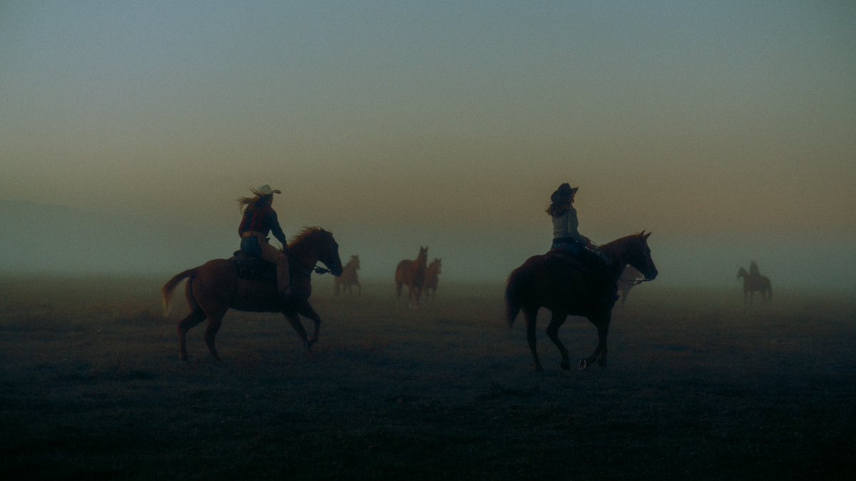 A morning in Yellowstone