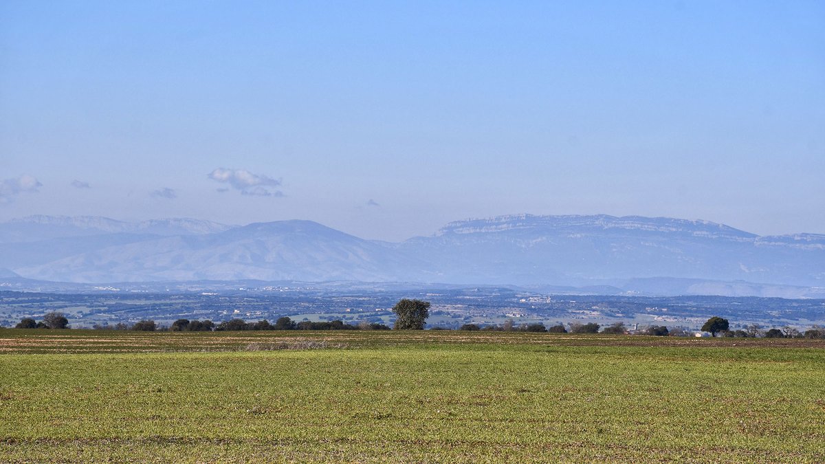 SomSegarra's tweet photo. Passejant a l'hivern per @lasegarra
  1 La Rabassa, 2 Vicfred, 3 Castellmeià i 4 Sant Ramon #bonatarda
@aralleida @catexperience @Turisme_Segarra @valldellobregos @PaisCatalunya https://t.co/ydzzOYbRdm