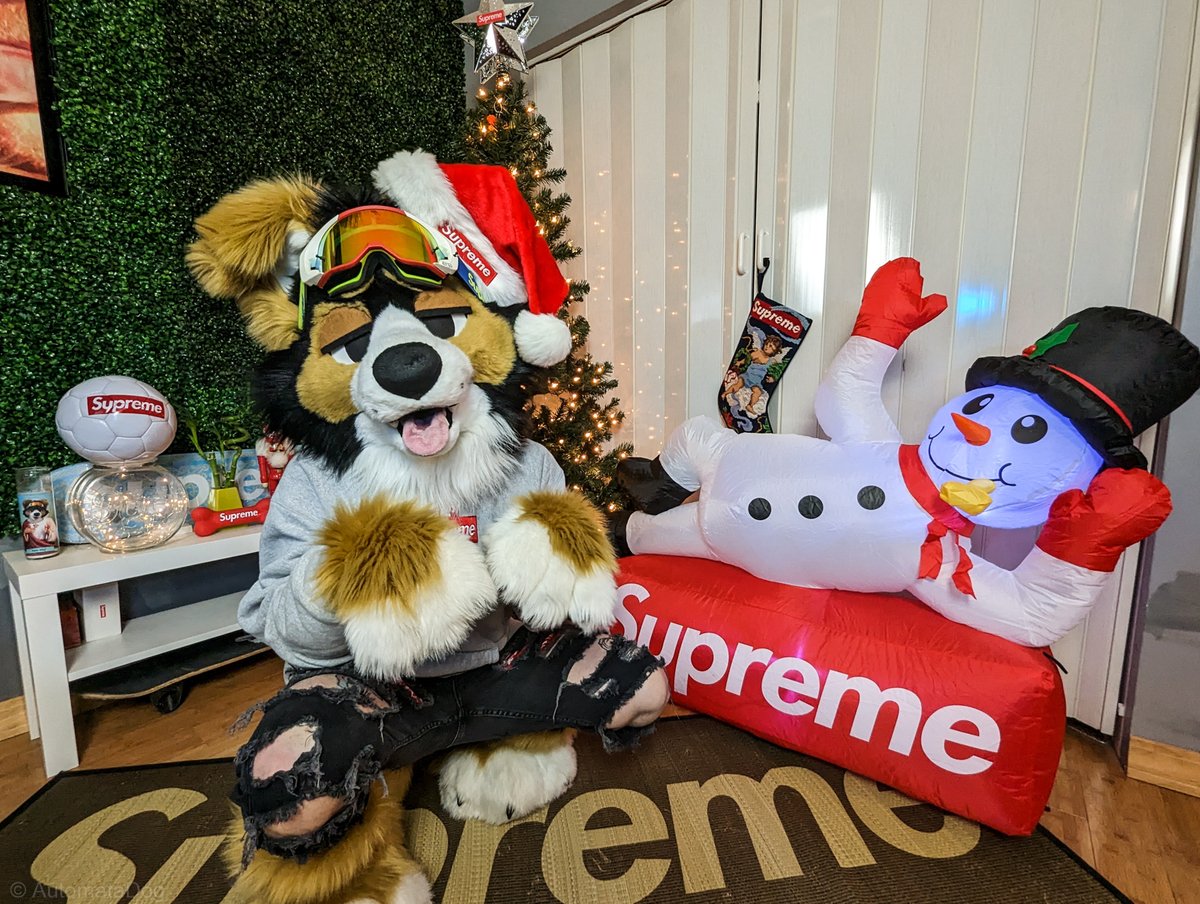 More holiday vibes since we had a snow storm come through the Midwest.

🐕: @norfdog 
📸: @AutomataDog 
⛄: @Supremenewyork_ 
🎄: @🎄

#Furry #Supreme #FursuitFriday #FursuitEveryday