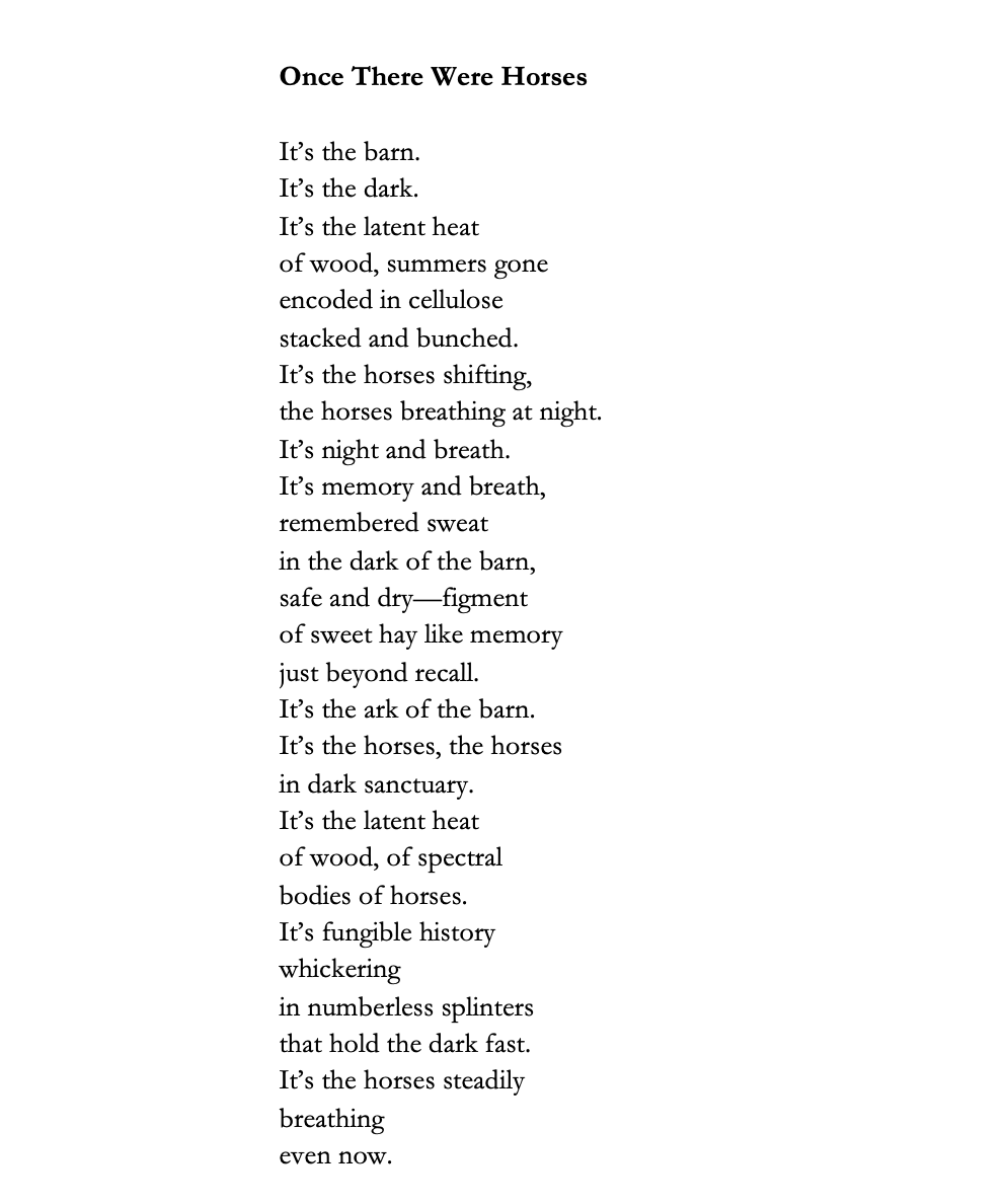 voicemailpoems's tweet photo. "It’s the barn.
It’s the dark.
It’s the latent heat
of wood, summers gone
encoded in cellulose
stacked and bunched.
It’s the horses shifting,
the horses breathing at night.
It’s night and breath."

- @ClevelandWall 

https://t.co/AP49sMSOiE https://t.co/k39onm3Usy