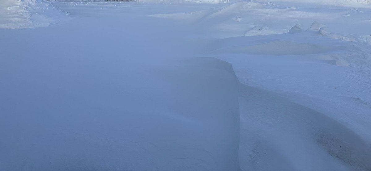 LeaderJohnThune's tweet photo. The before and after on my driveway this morning. This would have been the year to break down and buy a snowblower. Mark me down as ready for Spring. #sdwinter #lovineveryminuteofit https://t.co/7sOkmCpbn3
