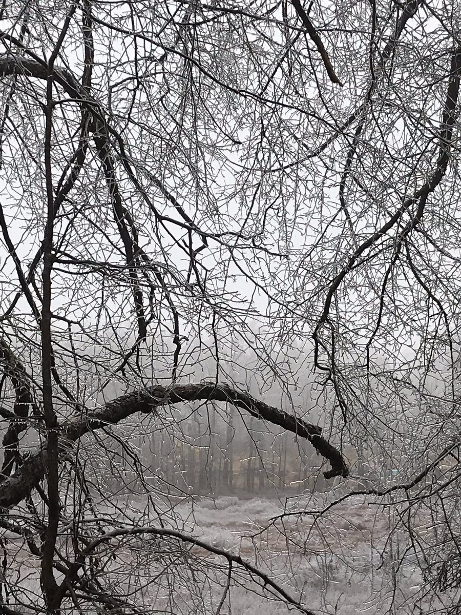 Christina4casts's tweet image. THANK YOU 🗣 to all first responders, road crews, dispatch operators, and forecasters for your efforts in keeping West Michigan safe before—during—and after the ice storm.

Appreciate you! 🙏🙏🙏