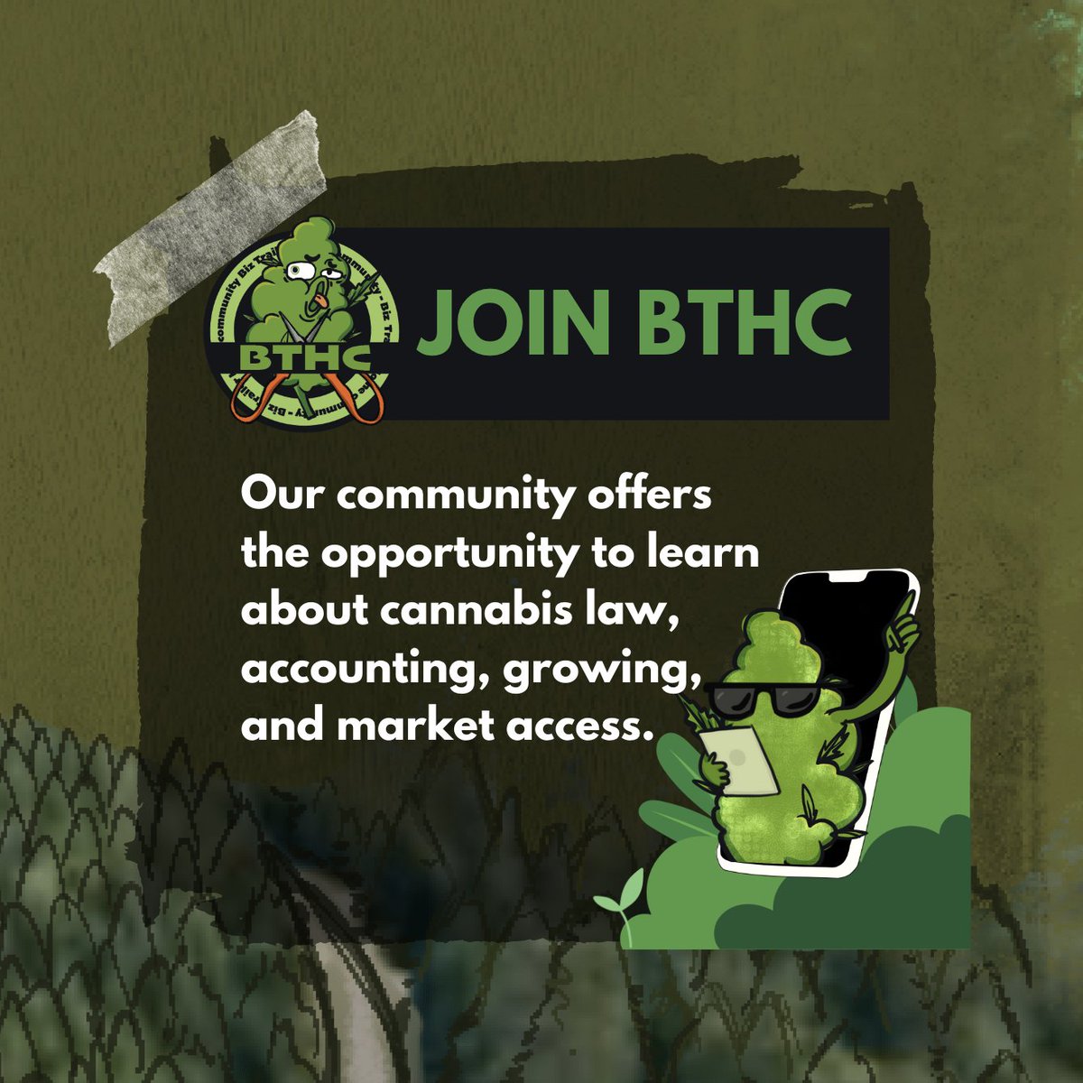 Join a community platform for sharing knowledge on cannabis law, cultivation, genetics, accounting, management, compliance, technology and more. Connect with experts in the industry through forums and courses. #cannabis #knowledgeexchange #NFTCommunity #SolanaNFT #bizbudapp #nfts