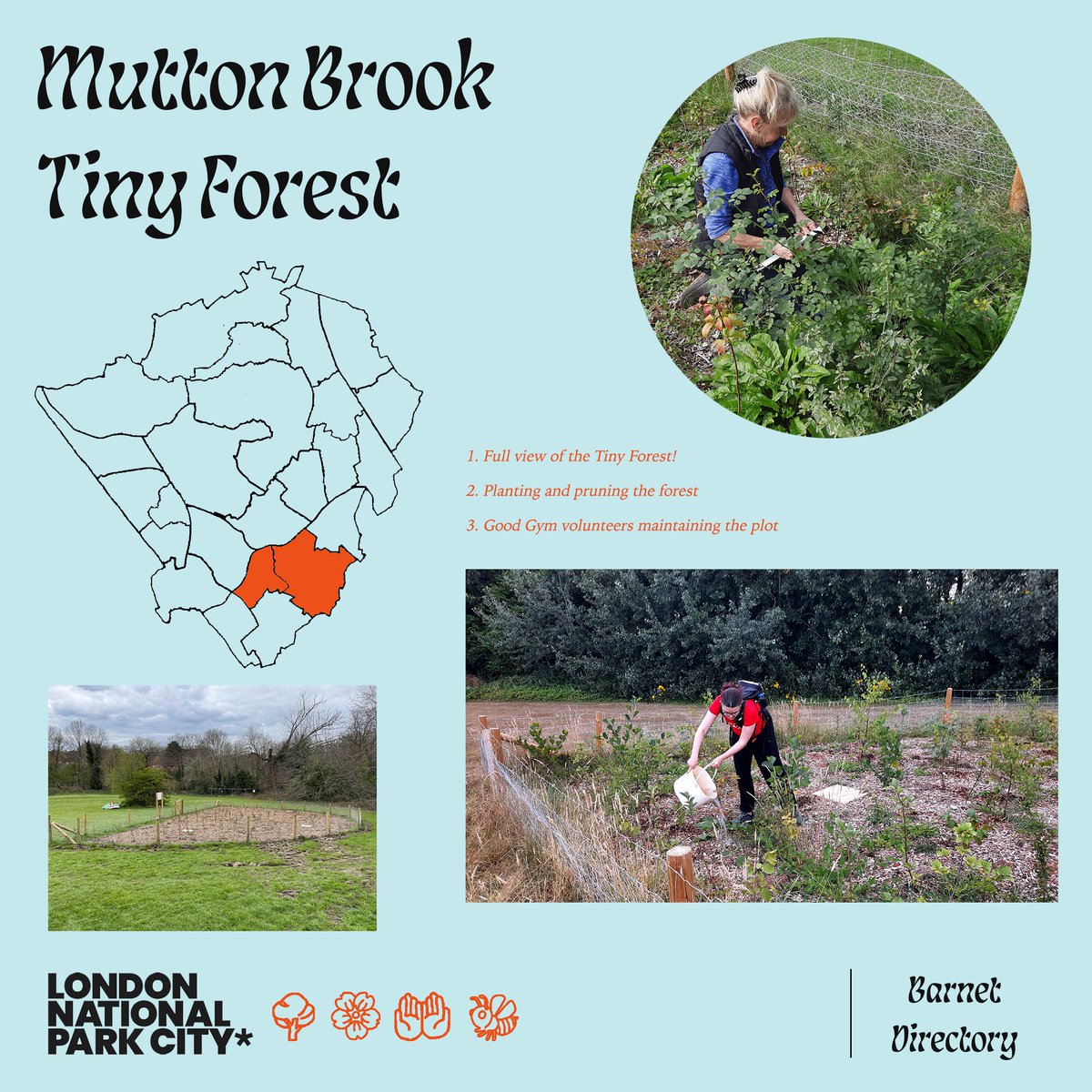 🌳This Sunday 26th February @ 11am 
Mutton Brook Tiny Forest are celebrating their first birthday! Come for cake and help with a little litter picking and carbon capture measuring if you like too!