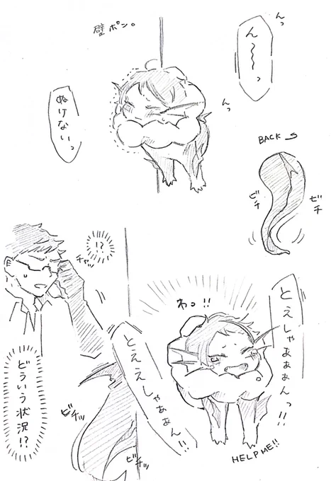 壁ポン。 ポンデ稚魚トレジェイ🍩🐟✨ 
