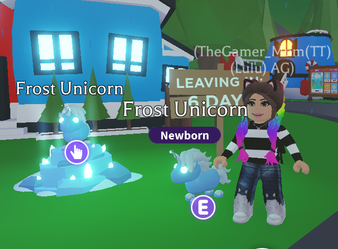 TheGamer_Mum's tweet photo. Happy Update Day!!! 
How pretty are the New Frost Unicorn's ❄🦄
Who would like to Win one???
Like ✔
Retweet 🔄
Follow Me 💗
Ends Saturday 7pm Uk Time 
Good Luck 🍀 https://t.co/8Ye8qkdhC3