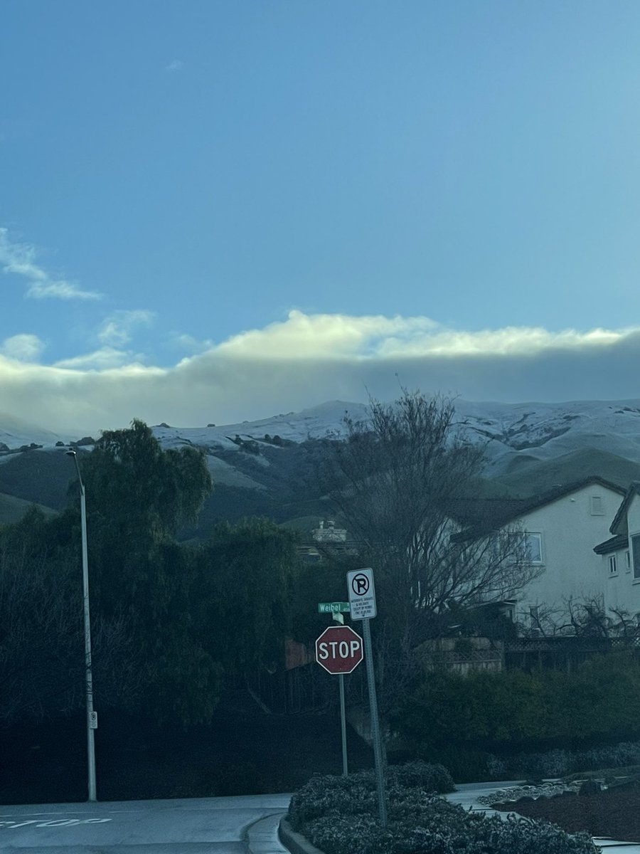 Teresa Yin tweet media