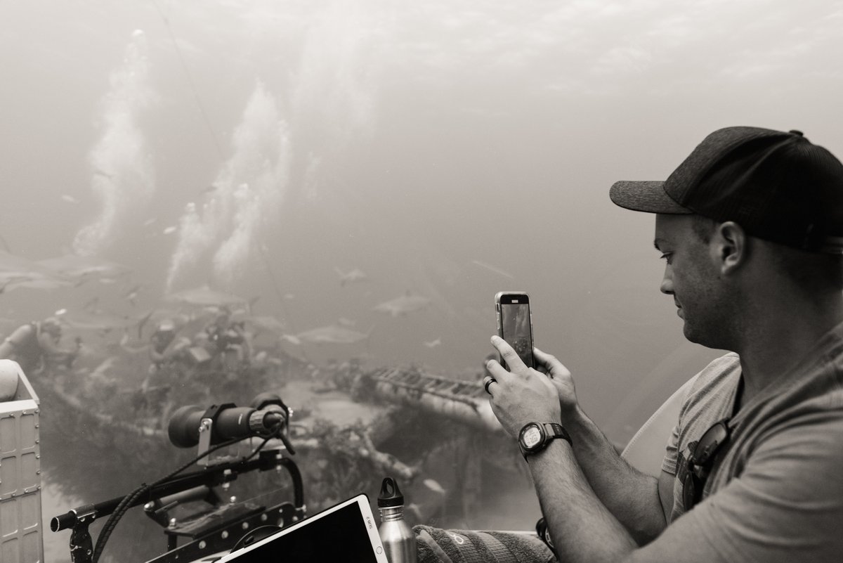 Offer your guests the opportunity of a lifetime - a dip beneath the waves in absolute comfort, setting eyes on never-before-seen creatures, wrecks, and subsea landscapes. 

Photo Credit: Allison Markova

#tritonsubs #touristsubmarine #touristsub #explore  #marinelife #Triton
