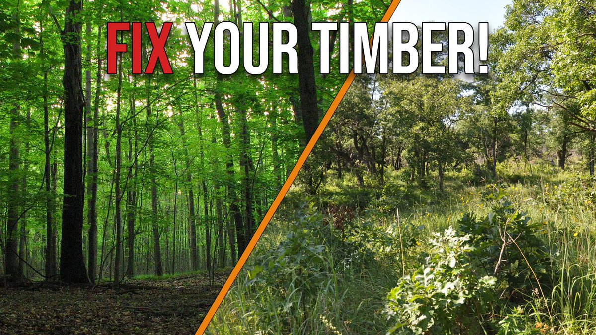 Informed Outdoors tweet media