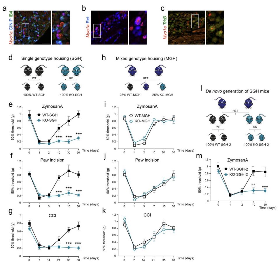 Anissa Jhumka tweet media