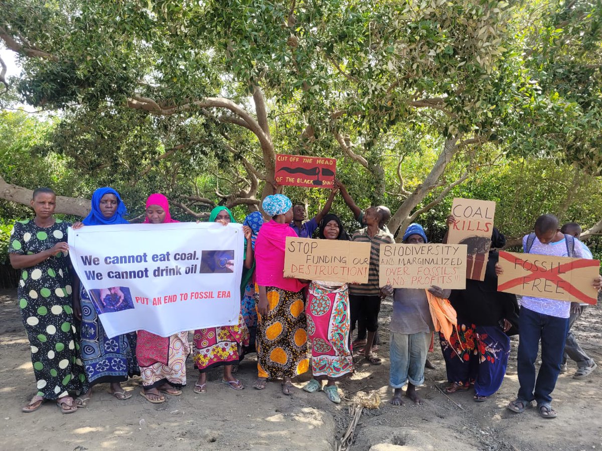 Thisischero's tweet photo. #EACOP will cause irreversible damage to the #biodiversity , natural habitats and water, as well as displace local communities and threaten their livelihoods.
#StopEACOP #YesSolar #RenewableEnergy #FossilBanksNoThanks
@Riseupmovt @vanessa_vash https://t.co/kMGuUv8nny