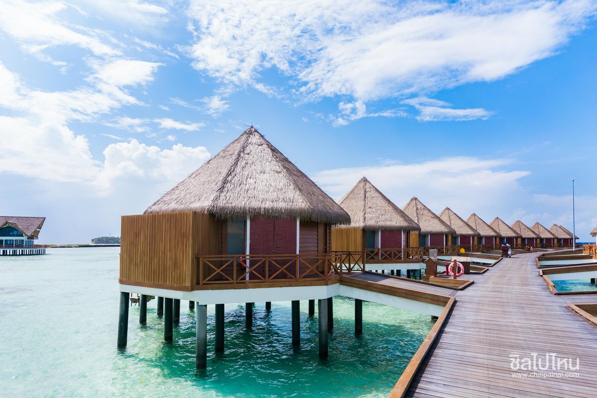 Chillpainai's tweet photo. #มัลดีฟส์ ทักจ้า🌊🌴😍
พาเพื่อนๆ อัปเดตบรรยากาศ ที่ Mecure Maldives Kooddoo Resort
.
#Chillupdate #Chillpainai #มัลดีฟส์ #ทริปในฝัน #หน่วยงานการตลาดและประชาสัมพันธ์การท่องเที่ยวมัลดีฟส์ #MMPRC #MaldivesMarketingandPublicRelations #airasiatravels #airasiasuperapp https://t.co/KTQq0niXgS