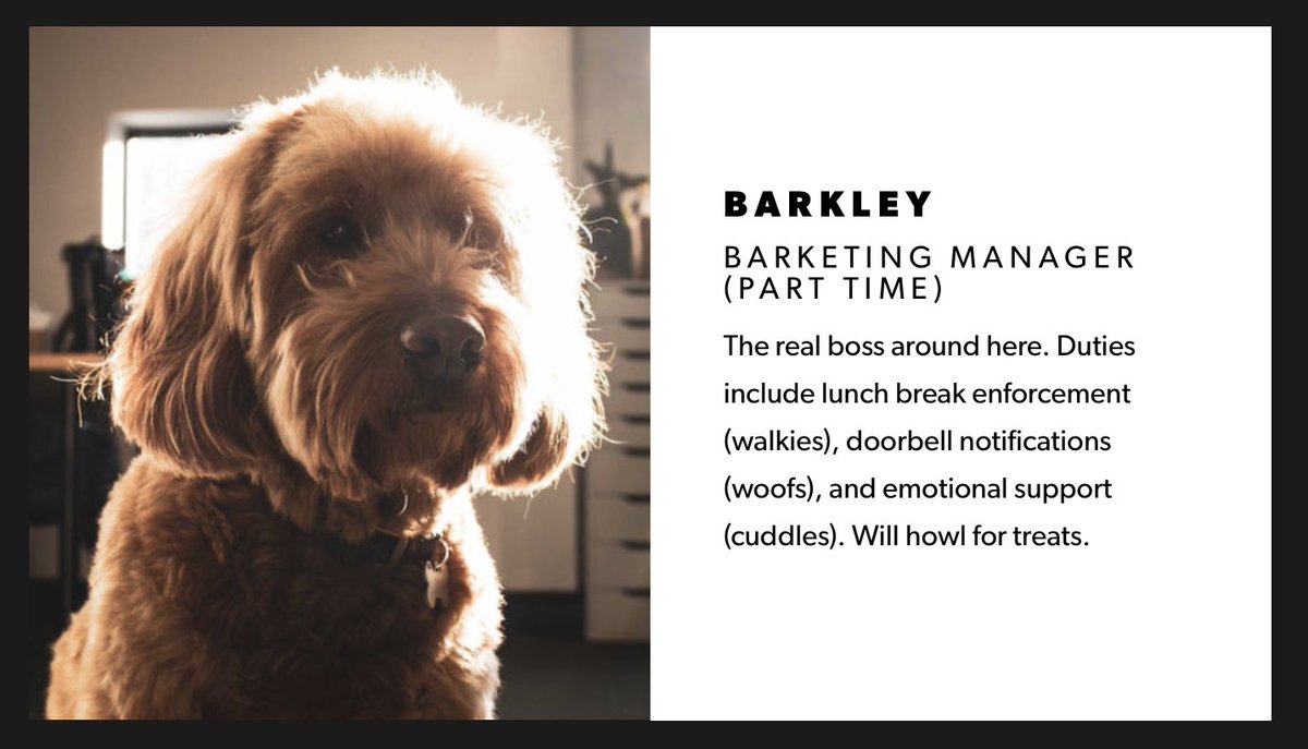 Sometimes you've got to bring in the big guns to get things done... Say hello to our newest team member! 🐶