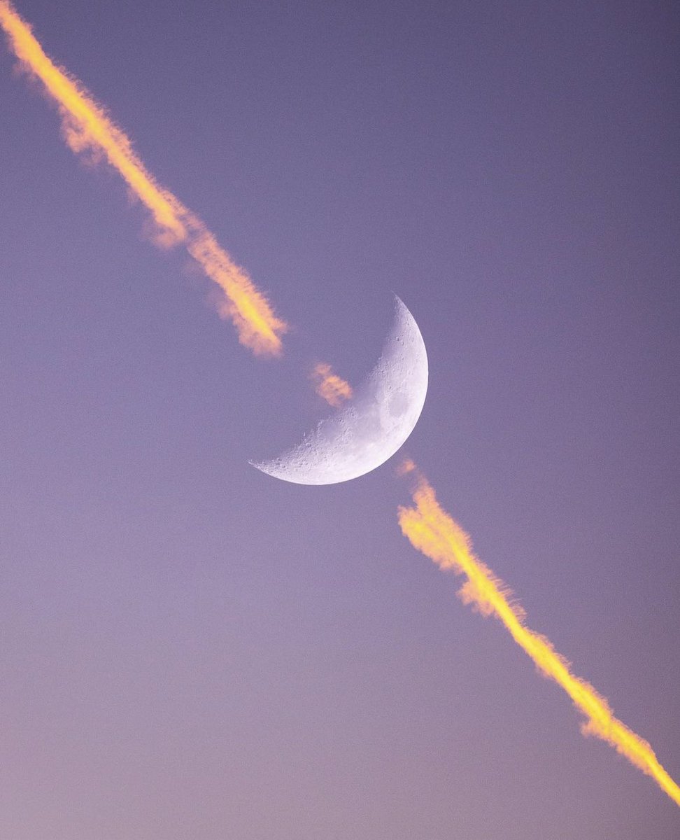 M1ONLOVER's tweet photo. Moon lover https://t.co/LI4TgGZouL