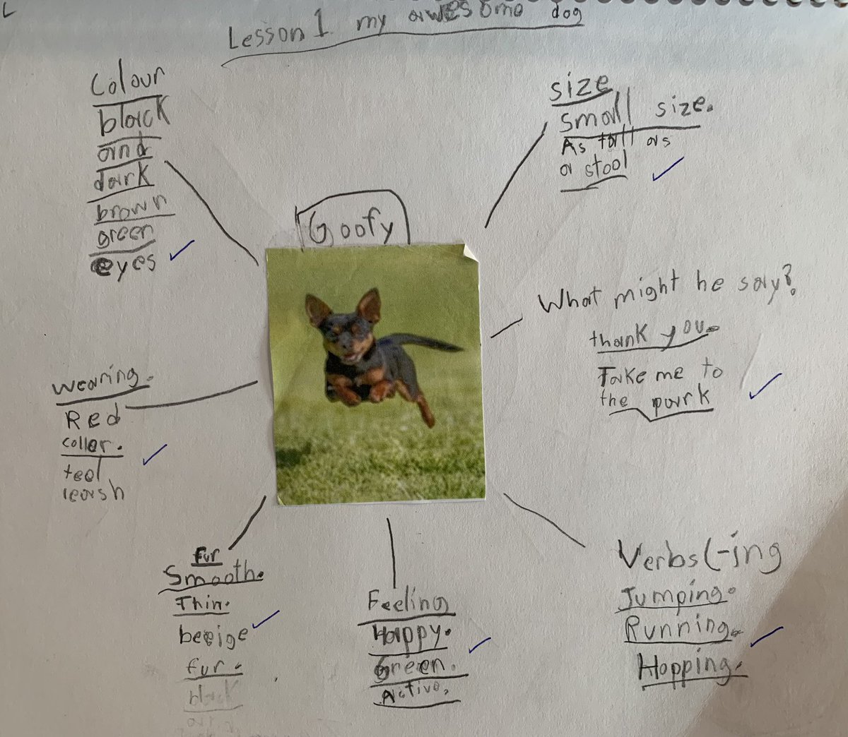 Grade 2 Buffalo Rubbing Stone School CBE tweet media