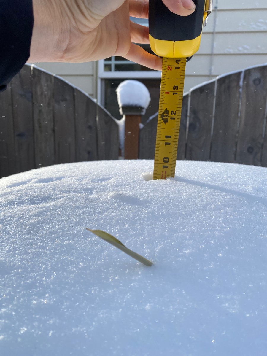 HowVeronic's tweet image. Recorded 9.5” on Alameda Ridge. Feels like 1.5 feet. Elevation 270ft

@NWSPortland #PQRobs