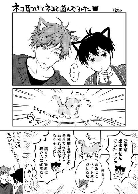 男子大学生底辺◯ーチューバーとネコの日

#創作BL #みーカヤ 
