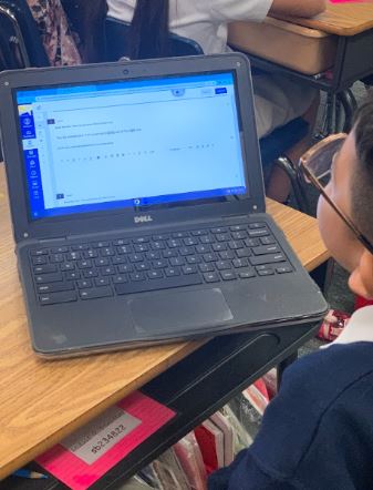 Candice Nichols tweet media