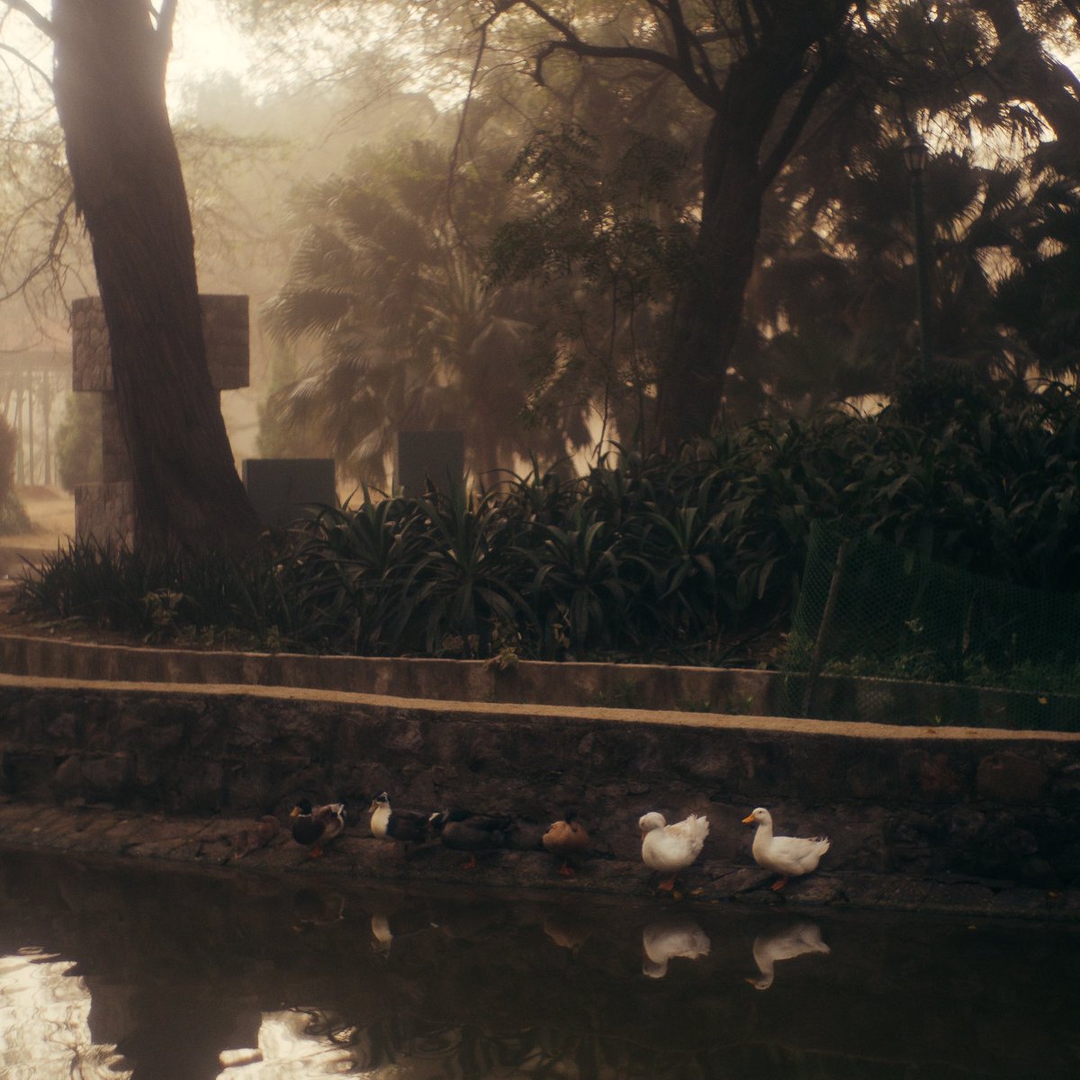 Debjit Banerjee tweet media