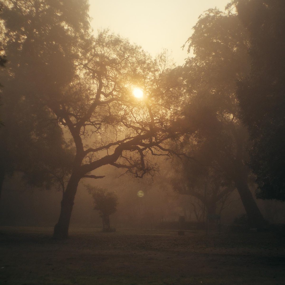 Debjit Banerjee tweet media