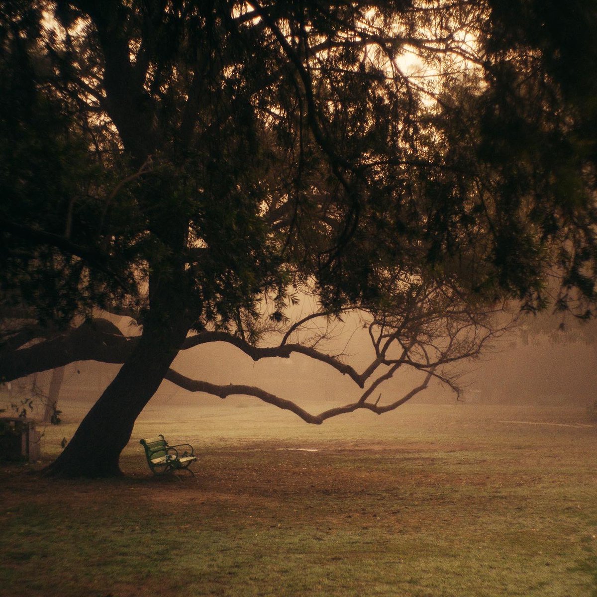 Debjit Banerjee tweet media