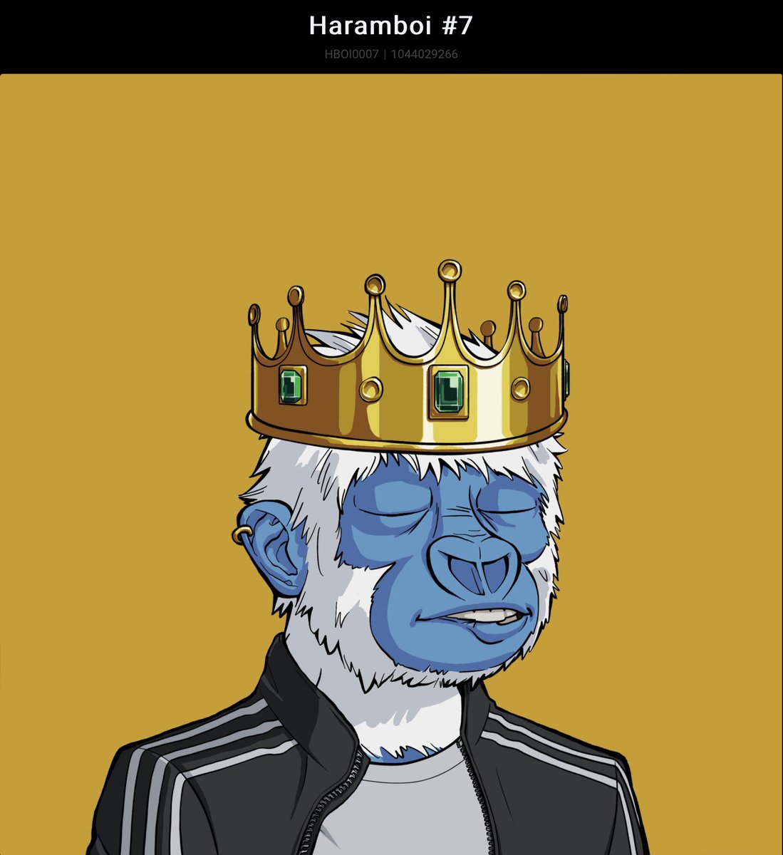 doktorsaab's tweet photo. Number 7 has indeed been lucky for me today @algorillas @AlgoGov #ApePrince #Algorand #YBG https://t.co/zNYHWPOyKp