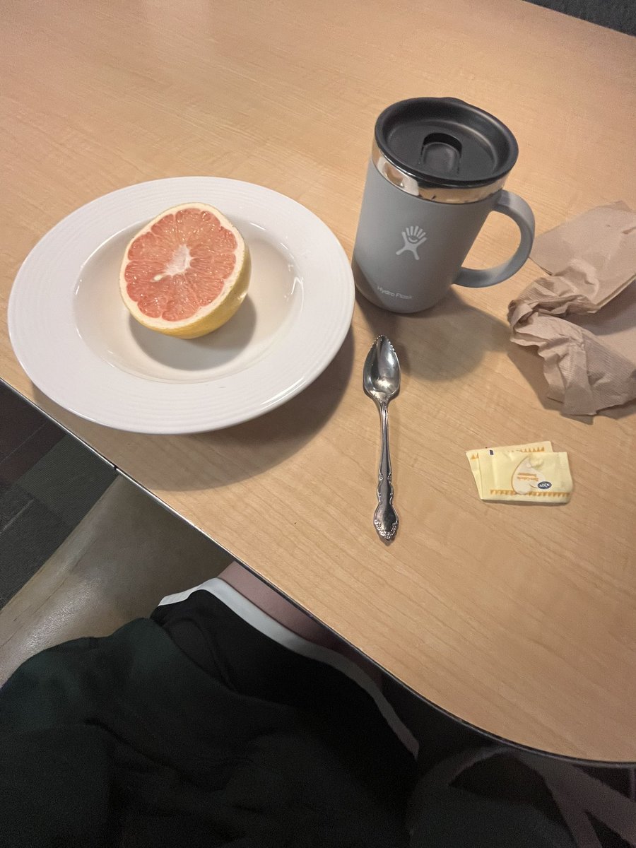 blushpilled's tweet photo. lovely snow day https://t.co/xzv9DrwcRo