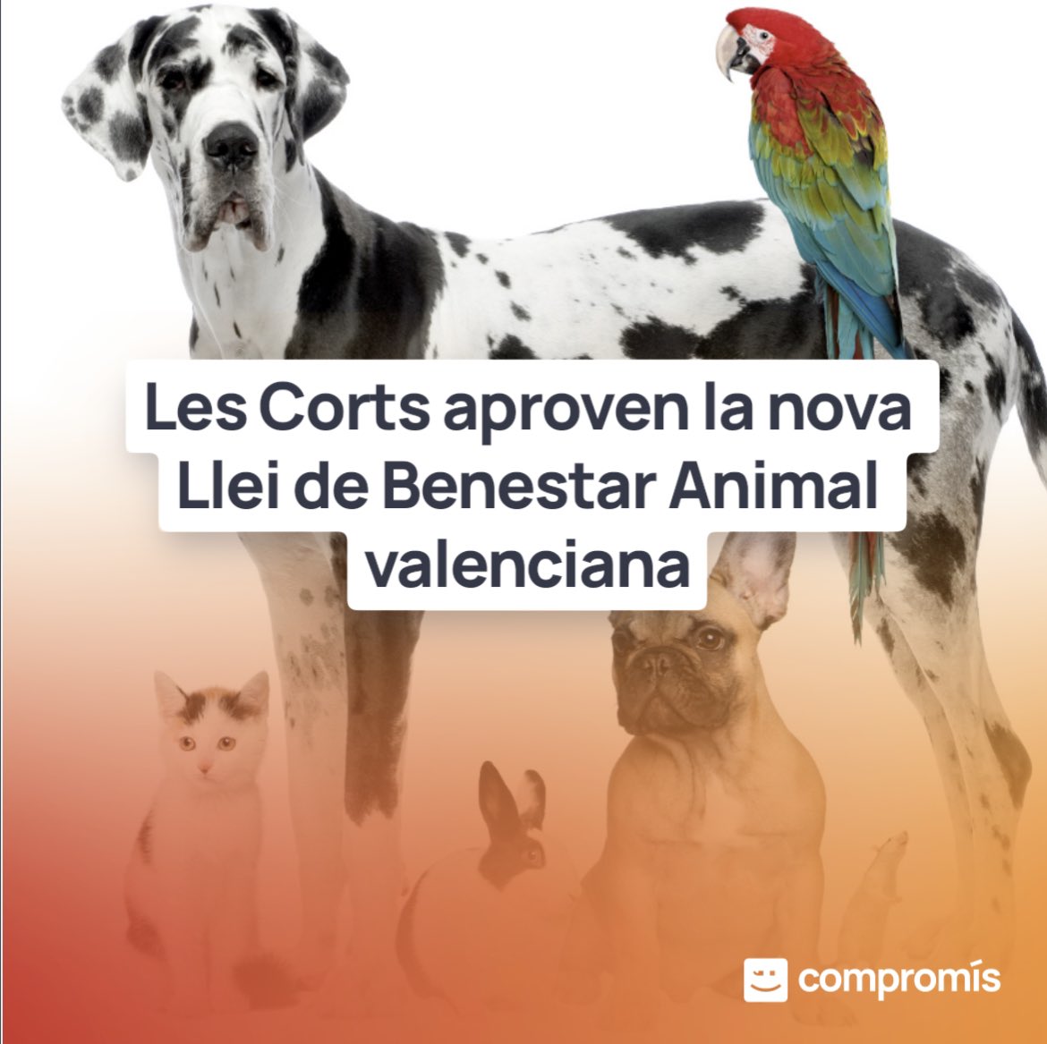 PGarcia_Latorre's tweet photo. [🔴⚖️ LLEI BENESTAR ANIMAL VALENCIANA 🐶🐴]

✅👏@cortsval donen llum verda a una societat més respetuosa amb drets animals i amb protecció ambiental.

▪️🐕Llei protecció, benestar i tinença d’animals de companyia i altres mesures benestar animal.
#GovernsAmbCompromis #Botanic2 https://t.co/27Tmt7d879