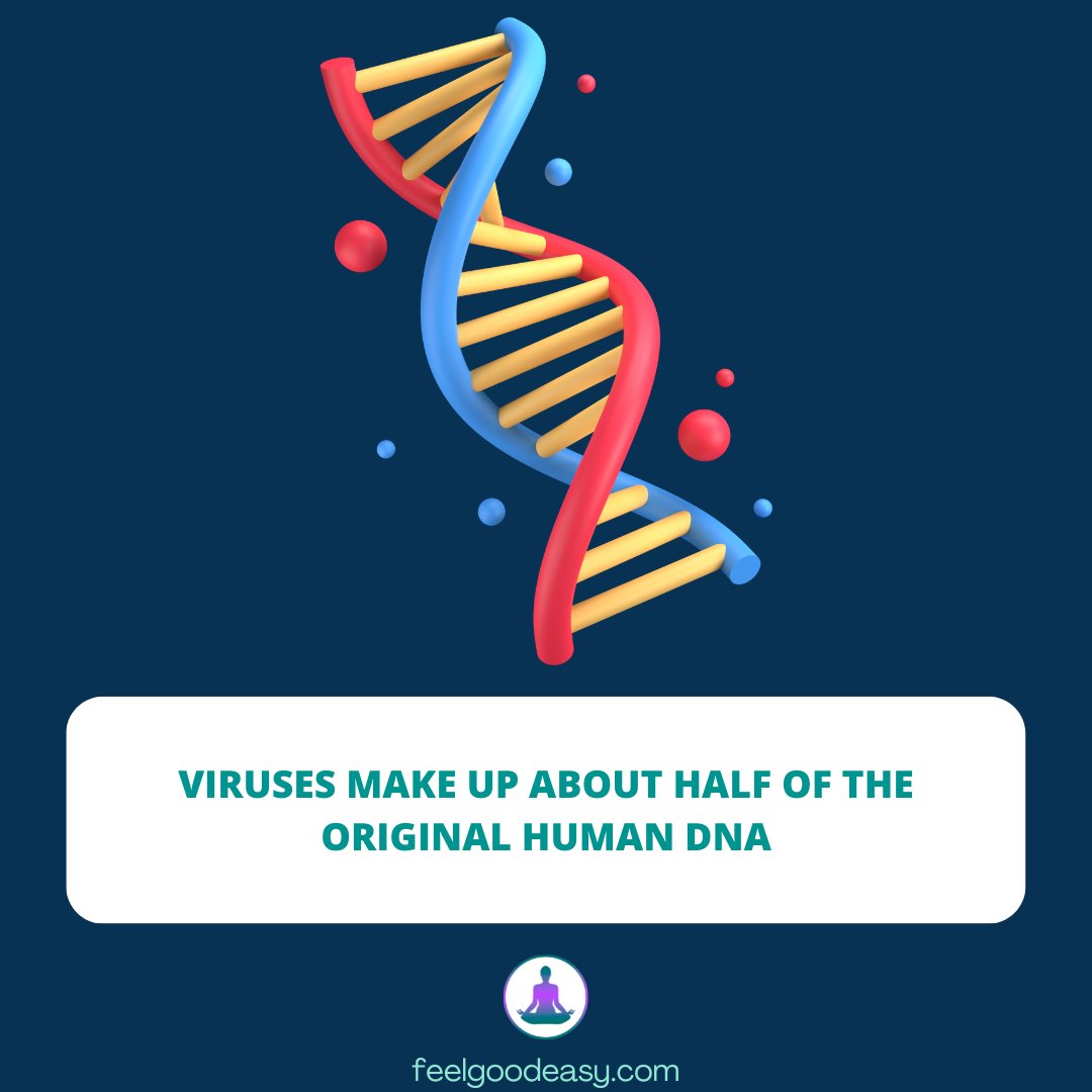FeelGoodEasyCom's tweet photo. #viralDNA #humanmicrobiome #viralgenetics #viralheritage #humanhealth #microbialworld #humanbiology #viralbiology #infectiousdiseases #geneticinheritance
https://t.co/gAEDK5UaXp https://t.co/sGDqRJ1H80