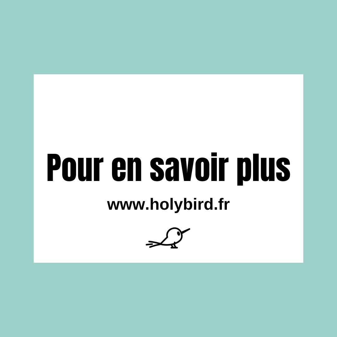Holy Bird tweet media