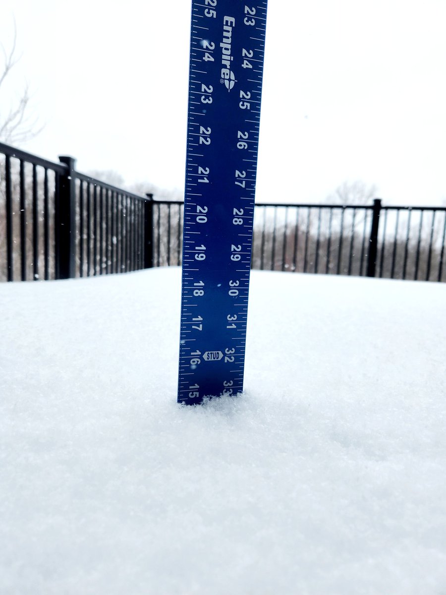 Emily Fernholz tweet media