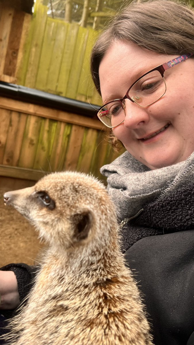 TellerMarie's tweet photo. Had an absolutely fantastic time at @HemsleyCC today meeting the meerkats. They are adorable & climbed all over me (well they made a beeline for my dad to begin with).😂 #birthday #birthdaypresent #meetkat #meetthemeerkats #meerkats #meerkatexperience #photo #photograghy #animals https://t.co/4QDUGb60FB