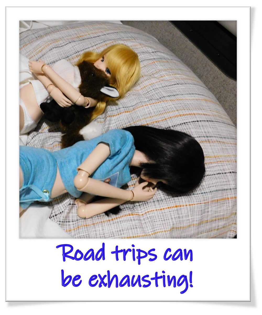 KitnShop's tweet image. Kits Log, Final Entry:
After a long two day drive back home, we immediately took sick days to recover from our vacation. This was the best introduction to our new family, and country. I cannot wait to do it again!

KitnKatShop.com
#SmartDoll #DannyChoo