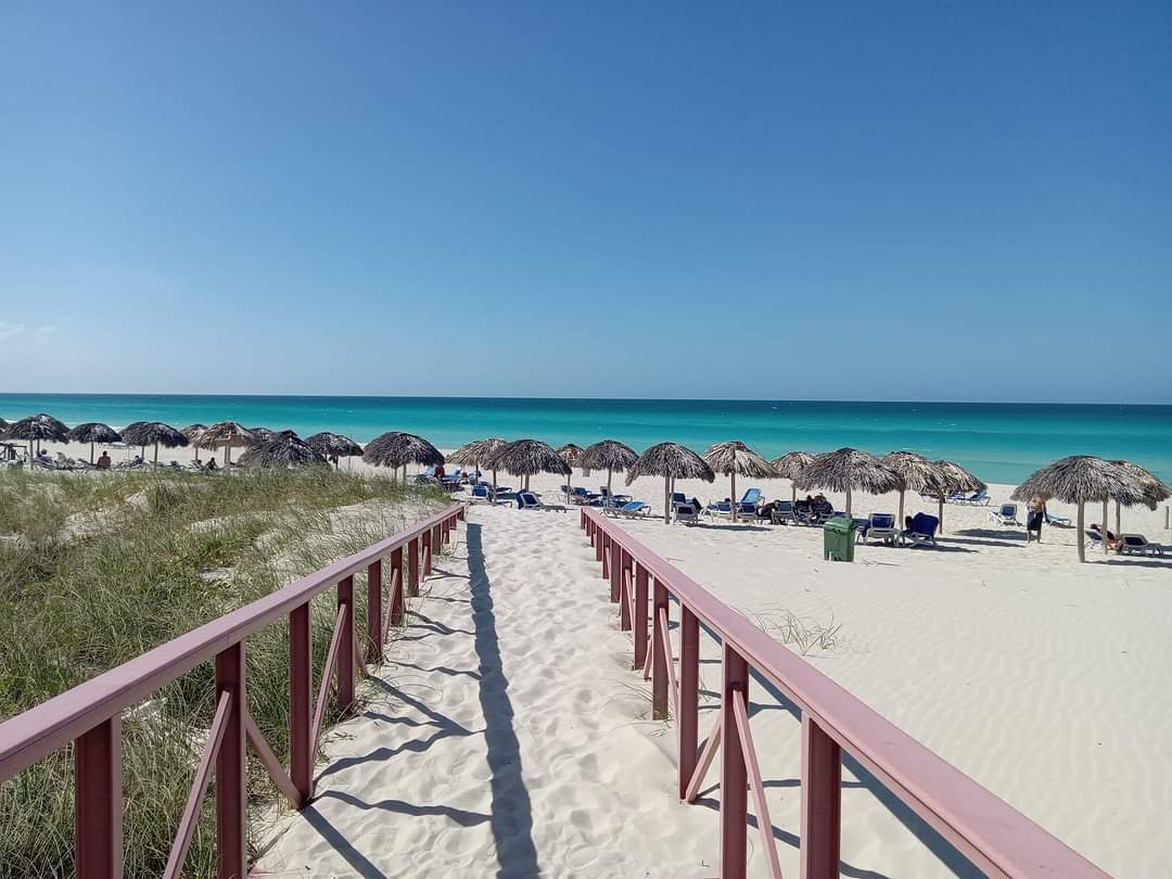 Hotels_Varadero's tweet photo. On the way to the #paradise!!! @VaraderoB
#Liveuptomore #responsibleliving #enjoylife #grancaribevaradero #varaderotravel #viajes_cuba #barcelohotelsresorts #OccidentalHotels #AllegroHotels
#varaderoresortbybarcelo #fowardhoteligence #winter2023 #CubaPorLaPaz #Cuba #Varadero https://t.co/zhBzs9L4BD