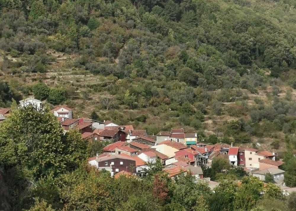 🇪🇸

La <a href="/RVSierraFrancia/">Ruta del Vino Sierra de Francia</a> guarda la historia de una cultura del vino milenaria, bajo la D.O.P. Sierra de Salamanca.

La Alberca es el ejemplo de municipio ideal de esta ruta.

📎 bit.ly/3IqfFEb