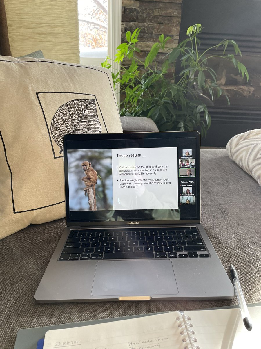 Watching the rehearsal of @chelsea_weibel’s #PhD defense talk about adversity, aging, and reproduction in #baboons! So excited for my lab mate and soon-to-be Dr! #PhDChat