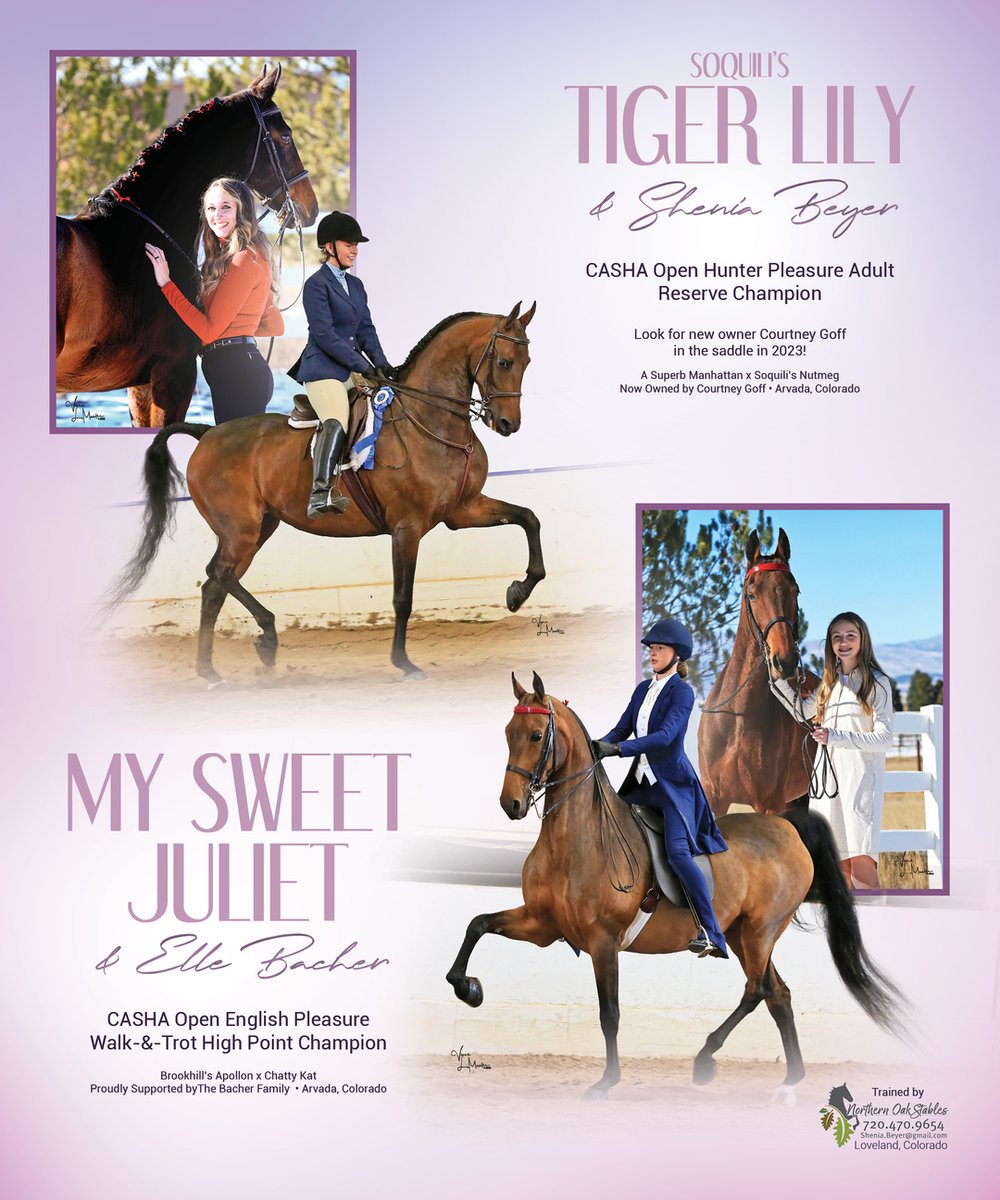TNH1865's tweet photo. #nationalhorseman #highpoints #sheniabeyer #ellebacher #northernoakstables #hunterpleasure #englishpleasure #saddlebred https://t.co/hVouce2uyF