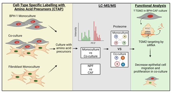 Cancers MDPI tweet media