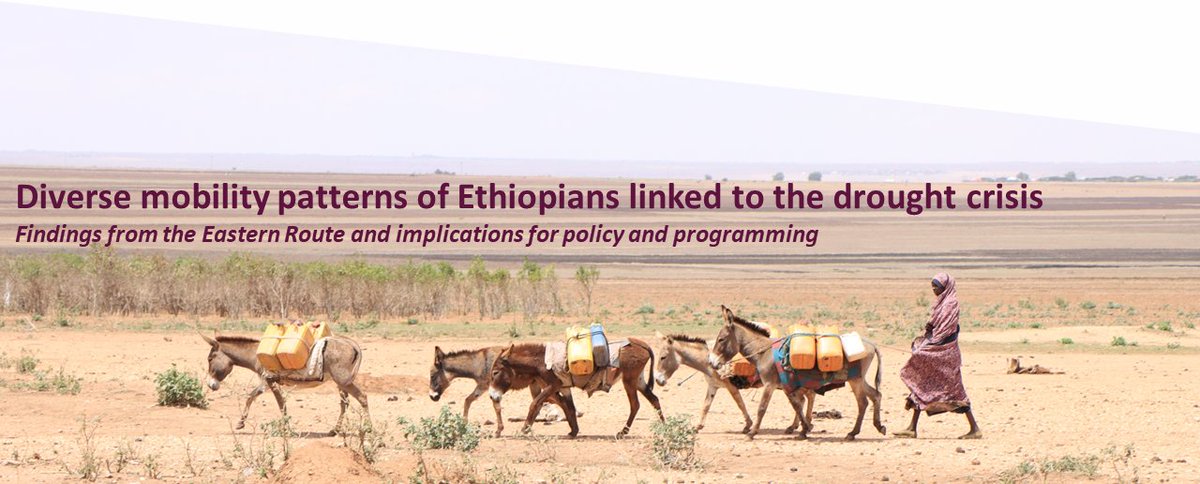 What are the interactions between #climate &amp; proximate drivers of migration? 

🧵 Thread with 4Mi data findings presented by <a href="/JimMoorsel/">Jim van Moorsel</a> at the "Governing Climate Mobility: Nexus between Climate Change and Mobility" conference organised by <a href="/diisdk/">DIIS Denmark</a> <a href="/UnivofGh/">University of Ghana</a> <a href="/forum_fss/">Forum for Social Studies (FSS)</a>