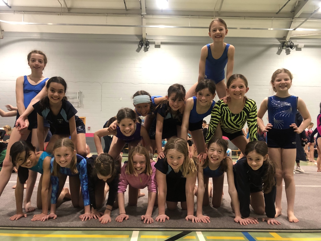 The Study Prep, Wimbledon (@thestudyprep) on Twitter photo 🤸🏼Our gymnastics teams had a wonderful day representing the school at the <a href="/priors_field/">Prior's Field - the place to achieve!</a> gymnastics festival yesterday. They all performed their routines and vaults with great technique, confidence and sportsmanship! #courageousatthestudy 🤸🏼Our gymnastics teams had a wonderful day representing the school at the <a href="/priors_field/">Prior's Field - the place to achieve!</a> gymnastics festival yesterday. They all performed their routines and vaults with great technique, confidence and sportsmanship! #courageousatthestudy
