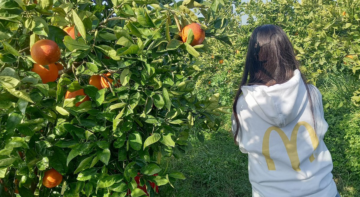 Oranfrizer tweet media