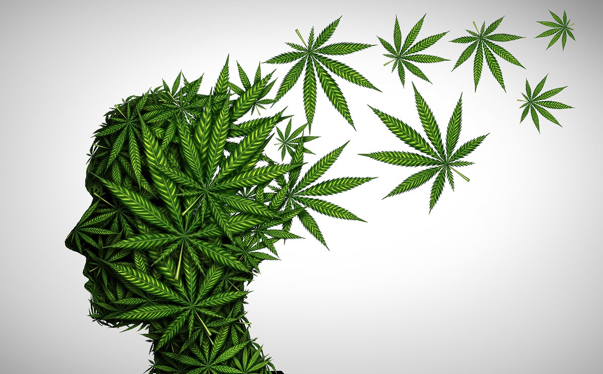 Today! Radicle Community Webinar: Cannabis Use Disorder - mailchi.mp/radiclehealthc…