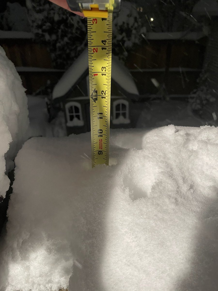JesseCFriedman's tweet image. 8.5 inches at 9 PM last night in Grant Park, NE Portland #orwx #pqrobs #pdxtst